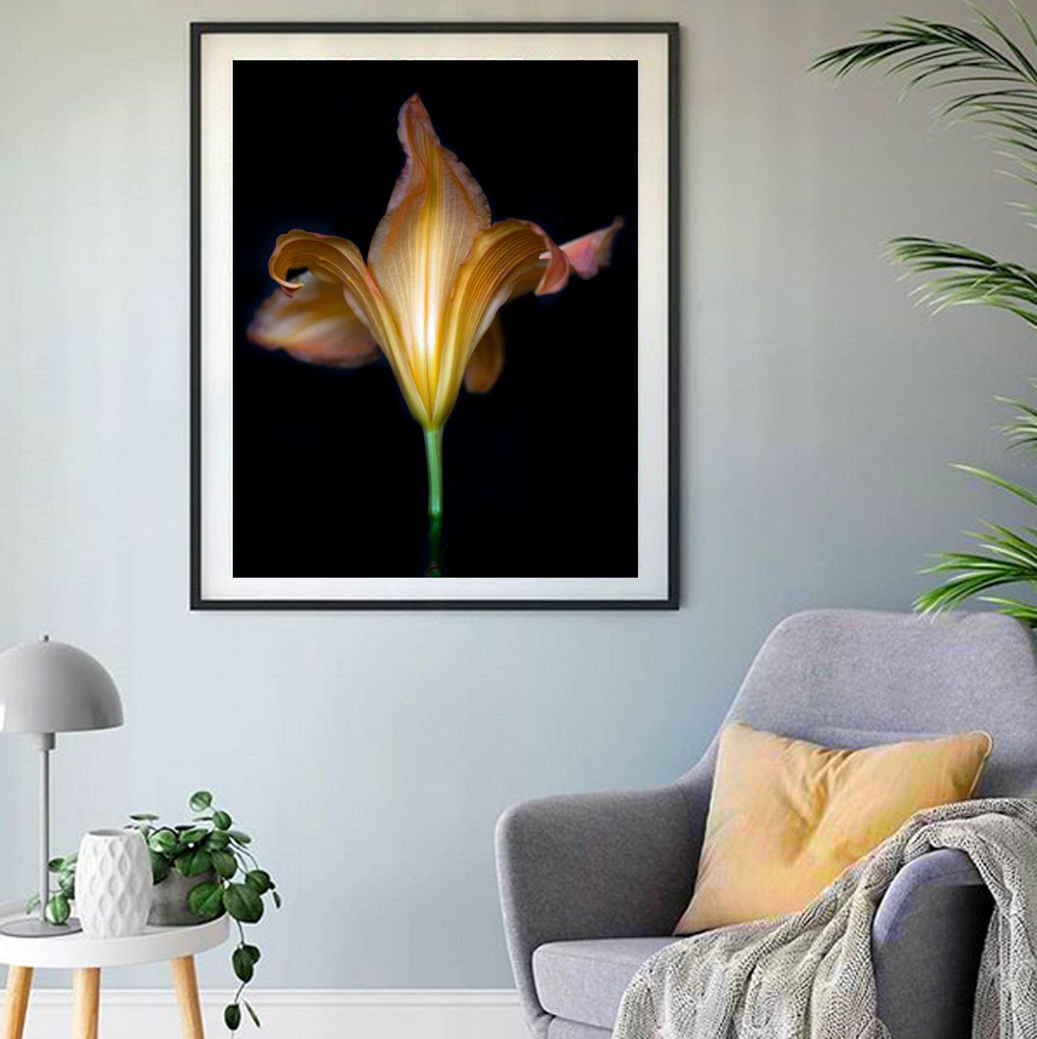 Color Photograph of a Lily on Black :: Photograph :: Color :: This piece comes with an official certificate of authenticity signed by the artist :: Ready to Hang: No :: Signed: Yes :: Signature Location: On Back ::  :: Portrait :: Limited Edition ::