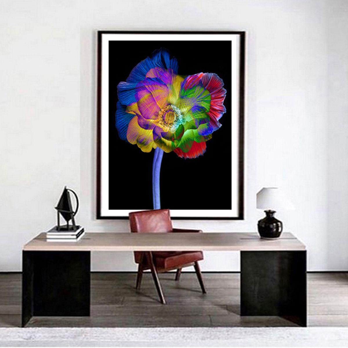 Photograph of a colored flower on black. Printed on archival fine art paper. :: Photograph :: Color :: This piece comes with an official certificate of authenticity signed by the artist :: Ready to Hang: No :: Signed: Yes :: Signature Location: