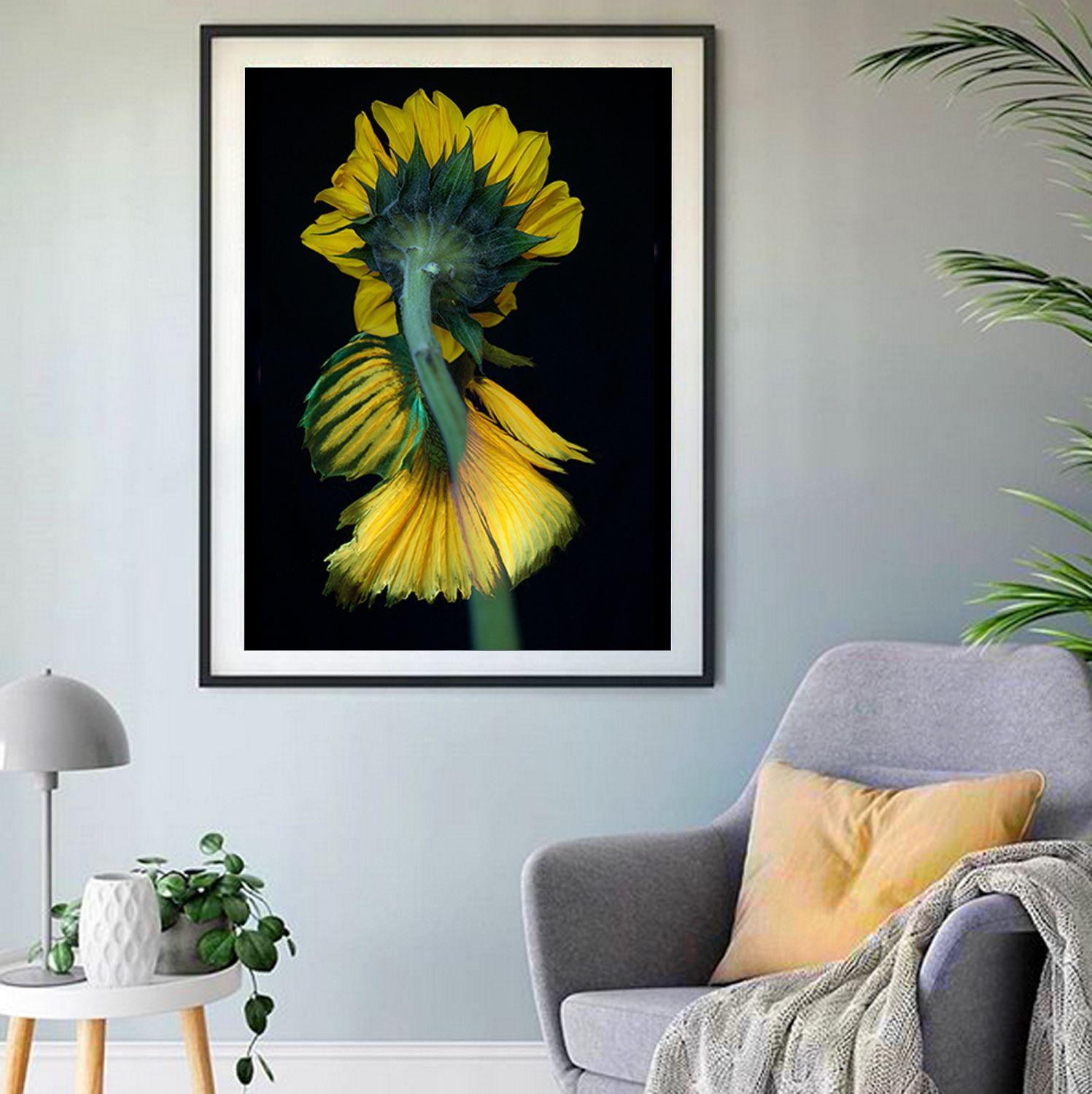 Color photograph of a flower on black. Printed on Archival Fine Art Paper. :: Photograph :: Color :: This piece comes with an official certificate of authenticity signed by the artist :: Ready to Hang: No :: Signed: Yes :: Signature Location: Signed