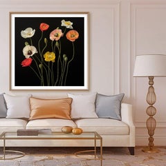 Poppies 34, Photograph, Archival Ink Jet