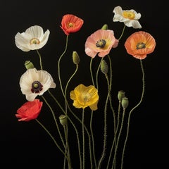 Poppies 34, Photograph, Archival Ink Jet