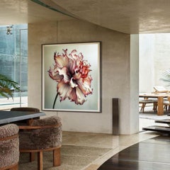 Rainbow Dahlia 23, Photograph, Archival Ink Jet