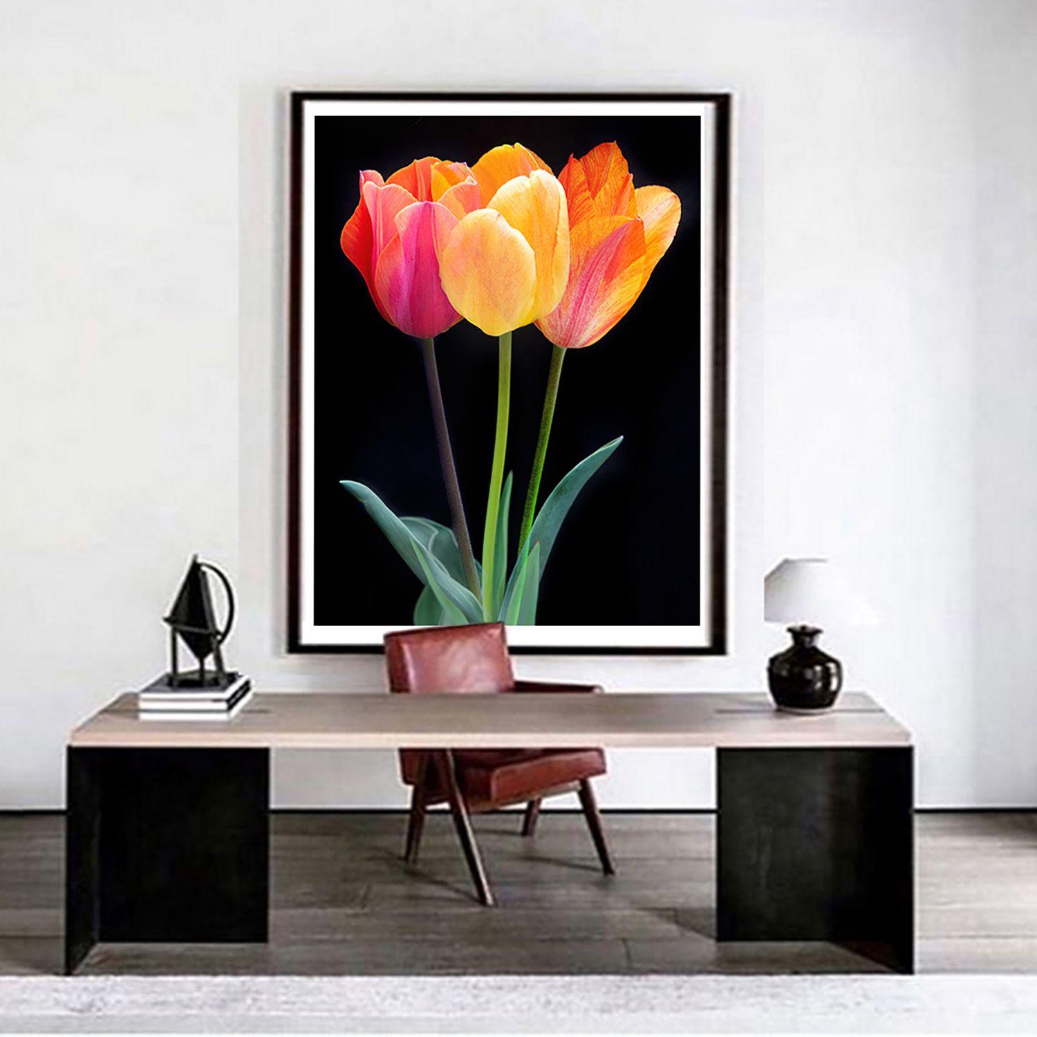 A color photograph a 3 tulips on black. Printed on Archival Fine Art Paper. :: Photograph :: Color :: This piece comes with an official certificate of authenticity signed by the artist :: Ready to Hang: No :: Signed: Yes :: Signature Location: