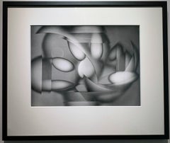 Flowers, The Self Representation of Light, Unique Luminogram, Drawn by Light