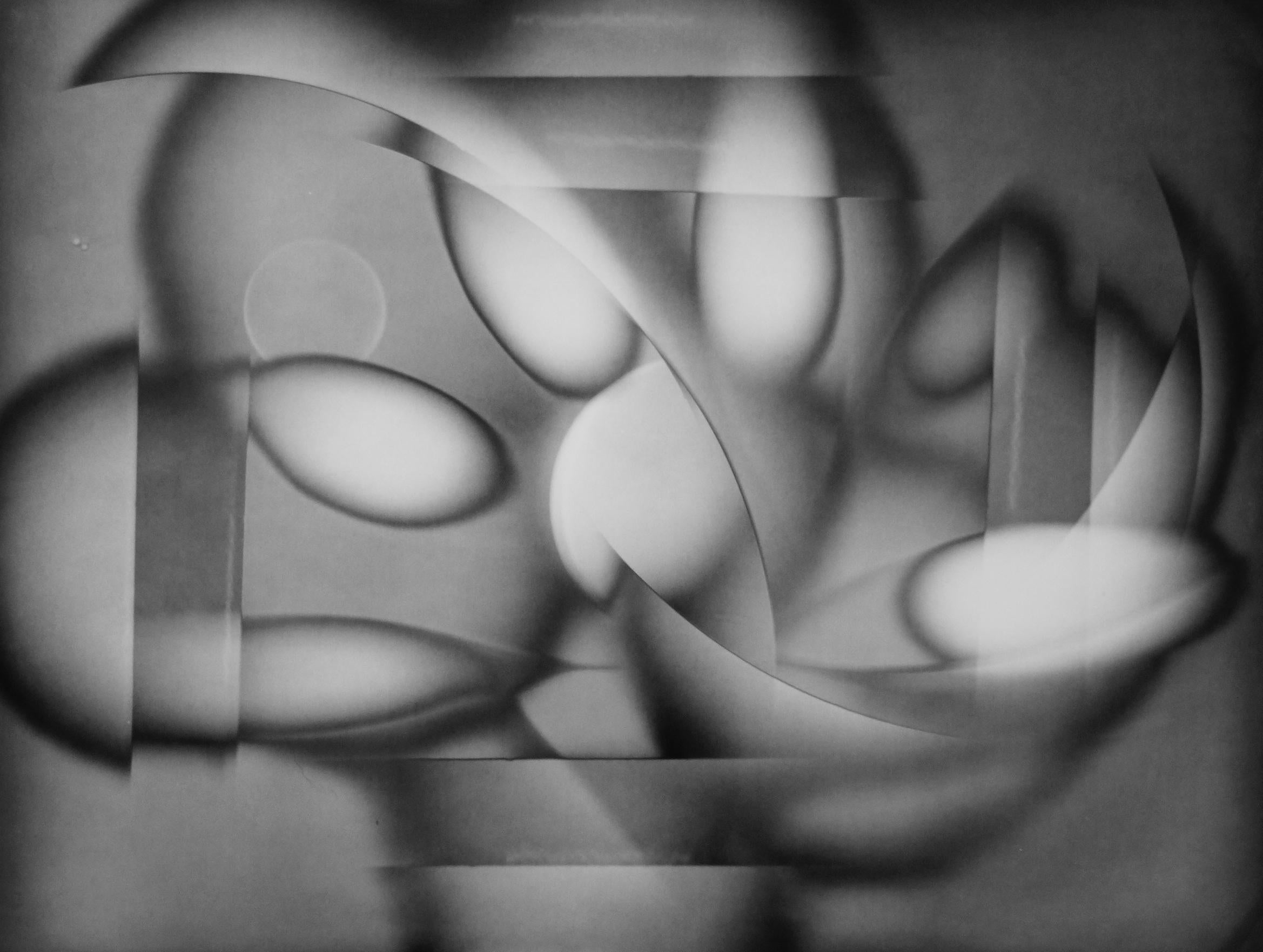 Abstract Print de Michael G Jackson - Flores, La autorrepresentación de la luz, Luminograma único, Dibujado por la luz 