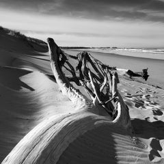 Beach Wood - contemporary black & white photography of sea, beach and wood