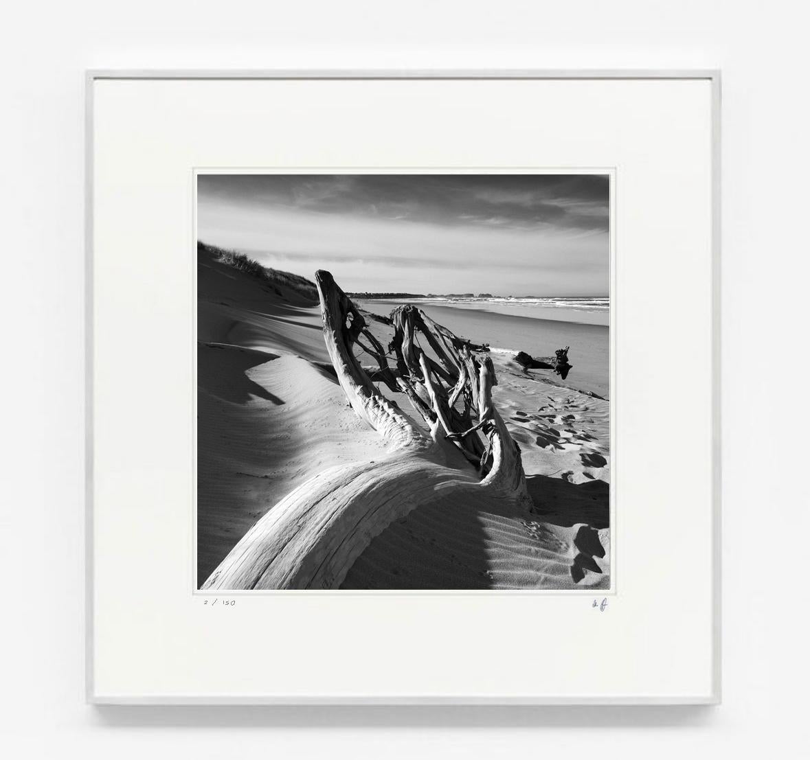 Michael Götze Color Photograph - Beach Wood - contemporary black & white photography of sea, beach and wood
