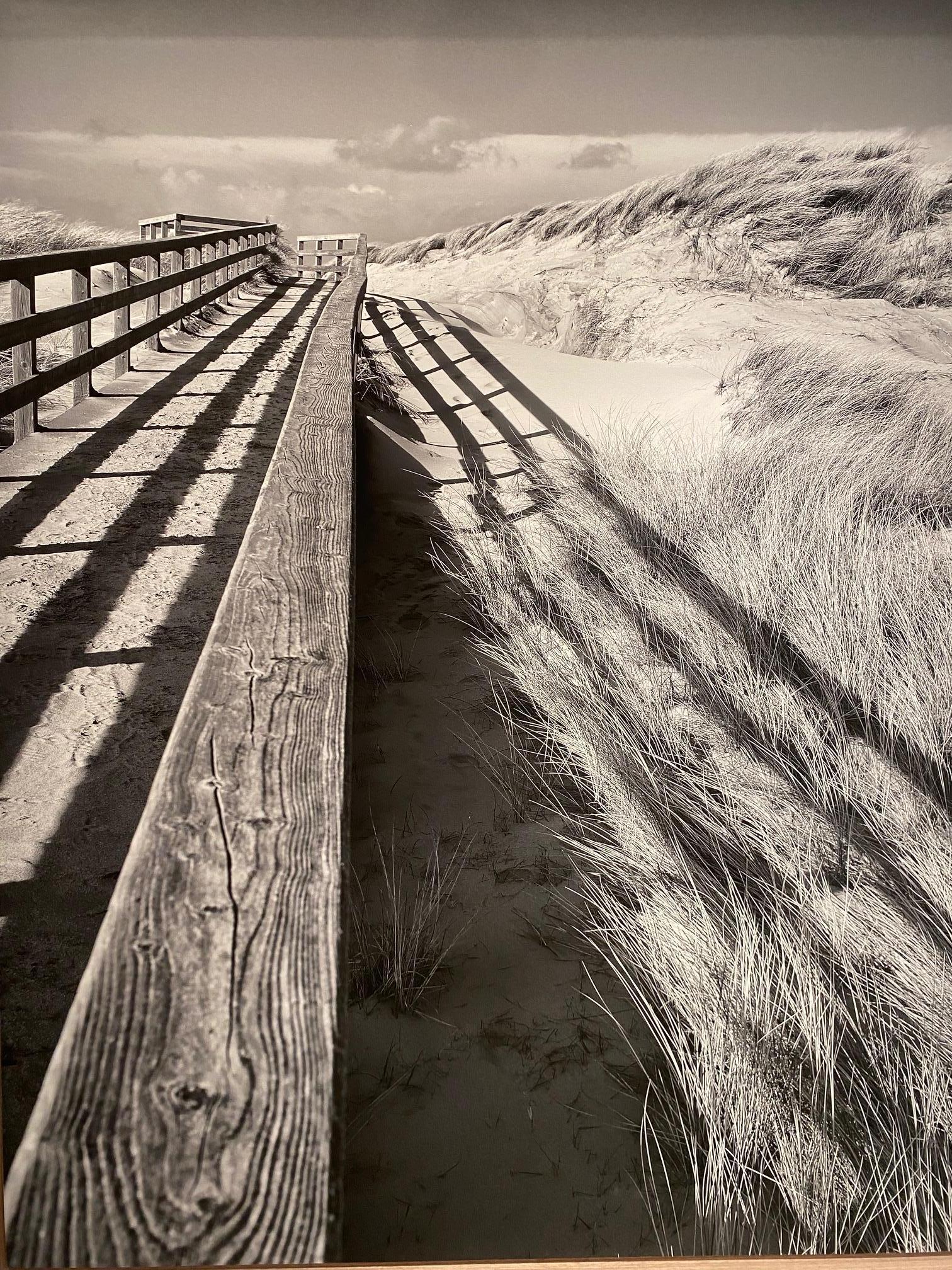 Michael Götze Black and White Photograph – The Way to the Beach – zeitgenössische Landschaftsfotografie, Strand, Schwarz-Weiß