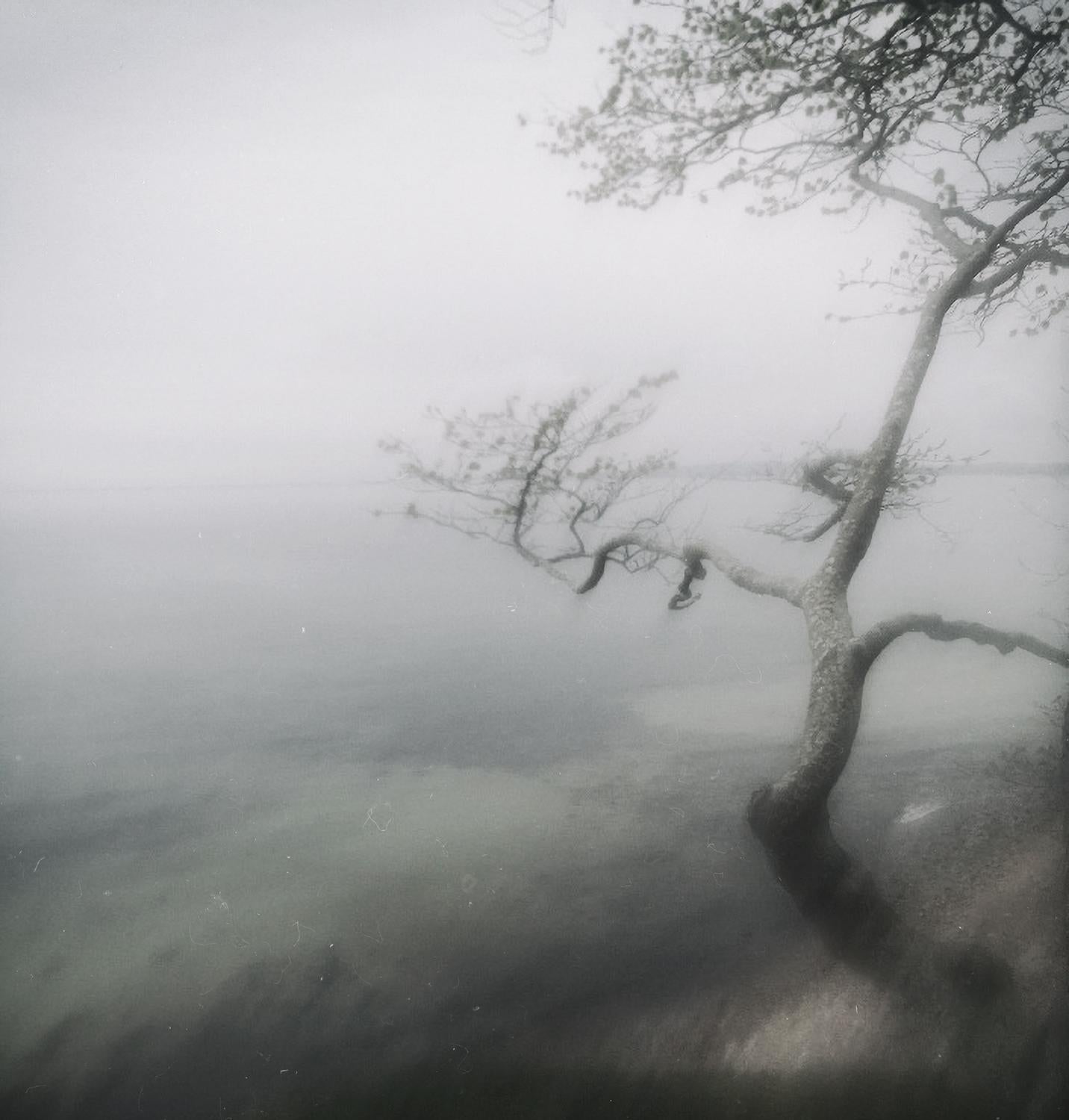 Michael Götze Black and White Photograph - Tree at White Sea-contemporary fine art landscape photography with tree and mist