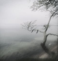 Tree at White Sea – Baum auf Weißsee – zeitgenössische Landschaftsfotografie mit Baum und Nebel