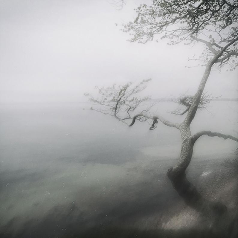 Tree at Whitesea - contemporary black & white photography of sea, tree and mist - Photograph by Michael Götze