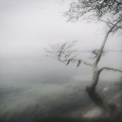 Tree at Whitesea - contemporary black & white photography of sea, tree and mist