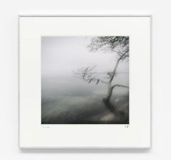 Tree at Whitesea - contemporary black & white photography of sea, tree and mist