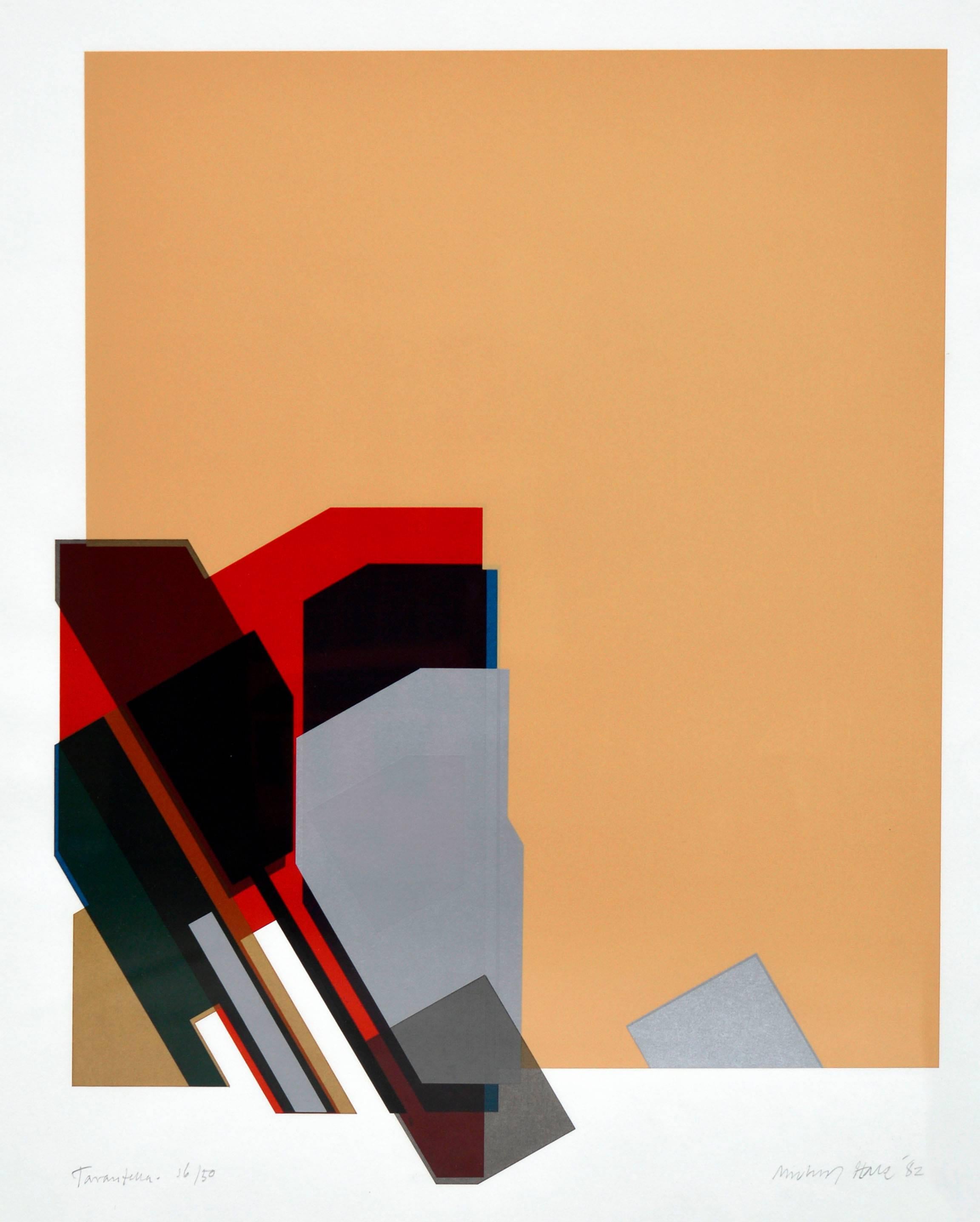 „Tarantella“ – Geometrischer abstrakter Raumteilerdruck mit pfirsichfarbenem, rotem und schwarzem – Print von Michael Hale