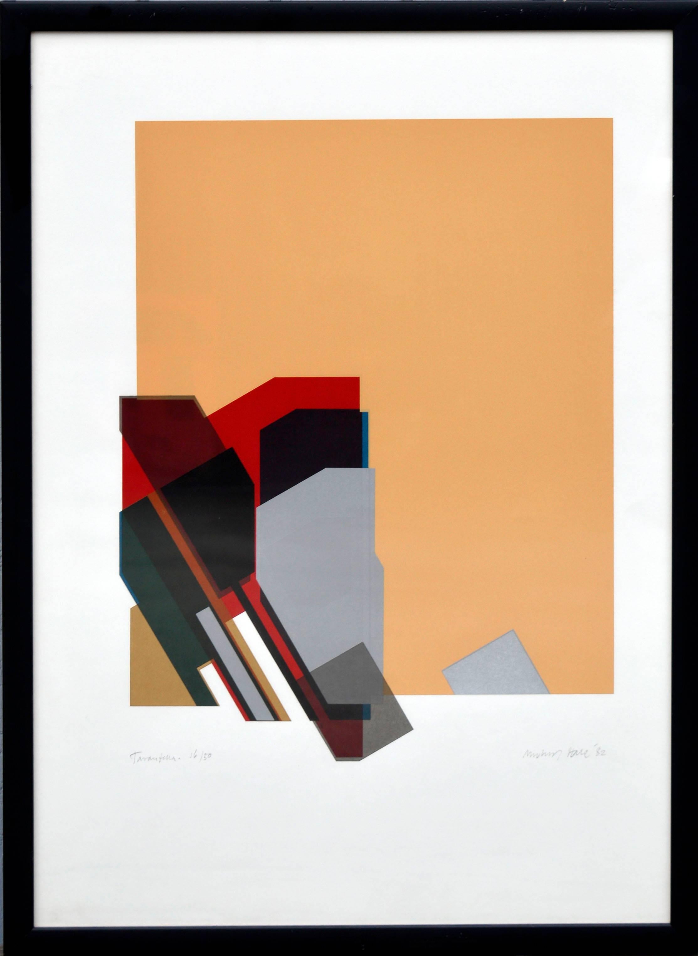 "Tarantella" - Geometric Abstract Screen Print with Peach, Red, and Black