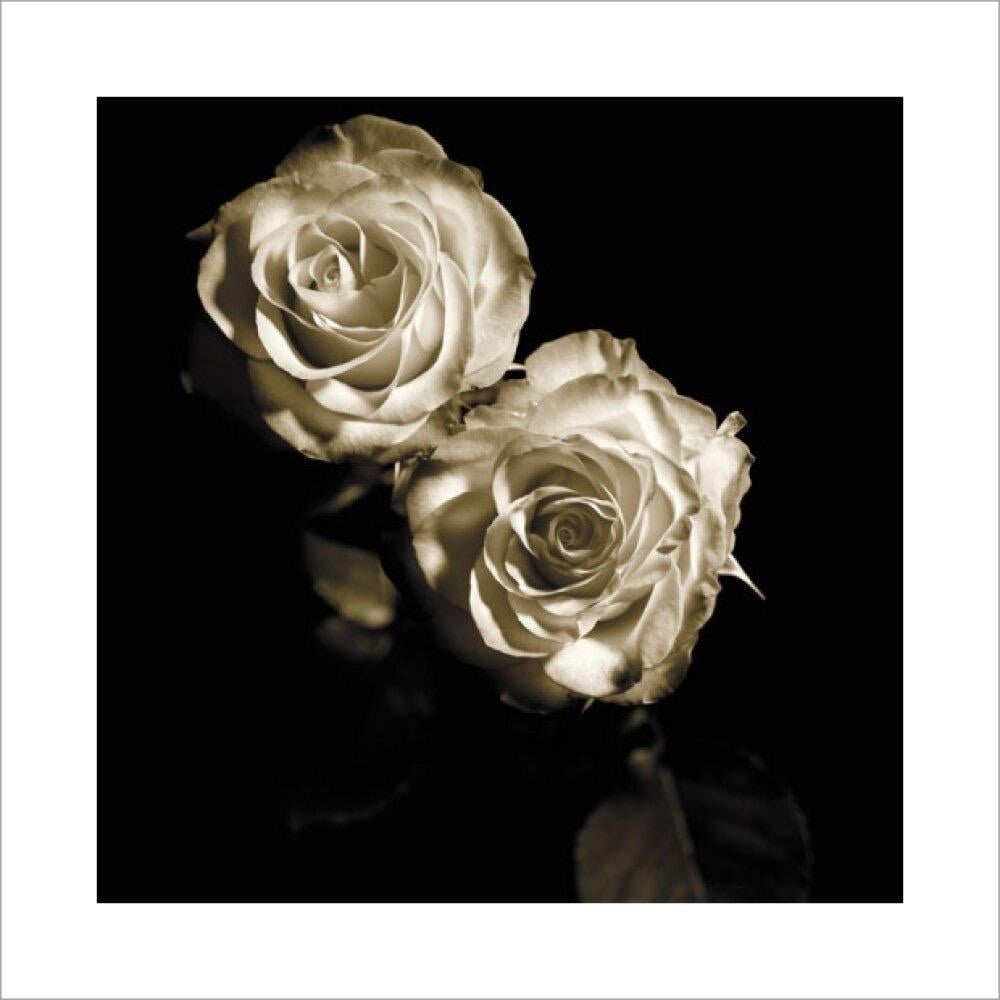 Michael Harrison, Circus Roses