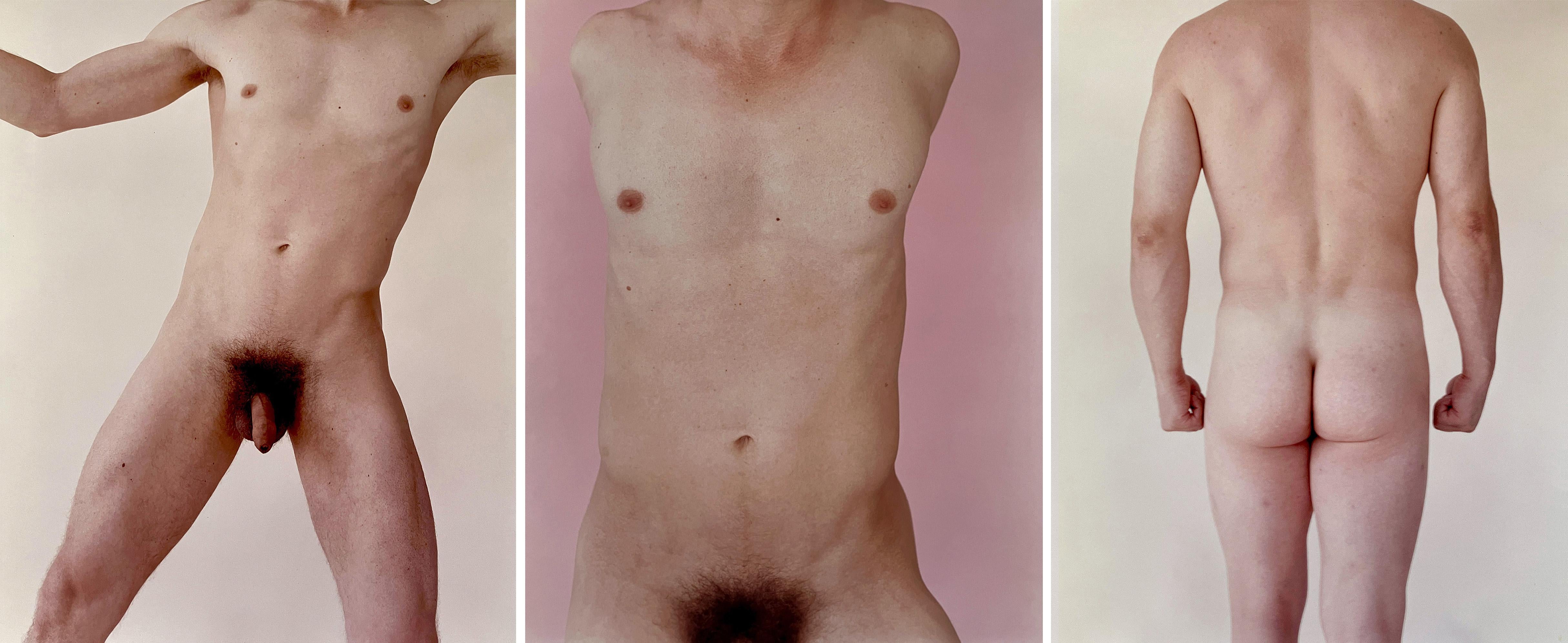 kouros pâle, rose torse, dos Kouros. Triptyque. Encadré