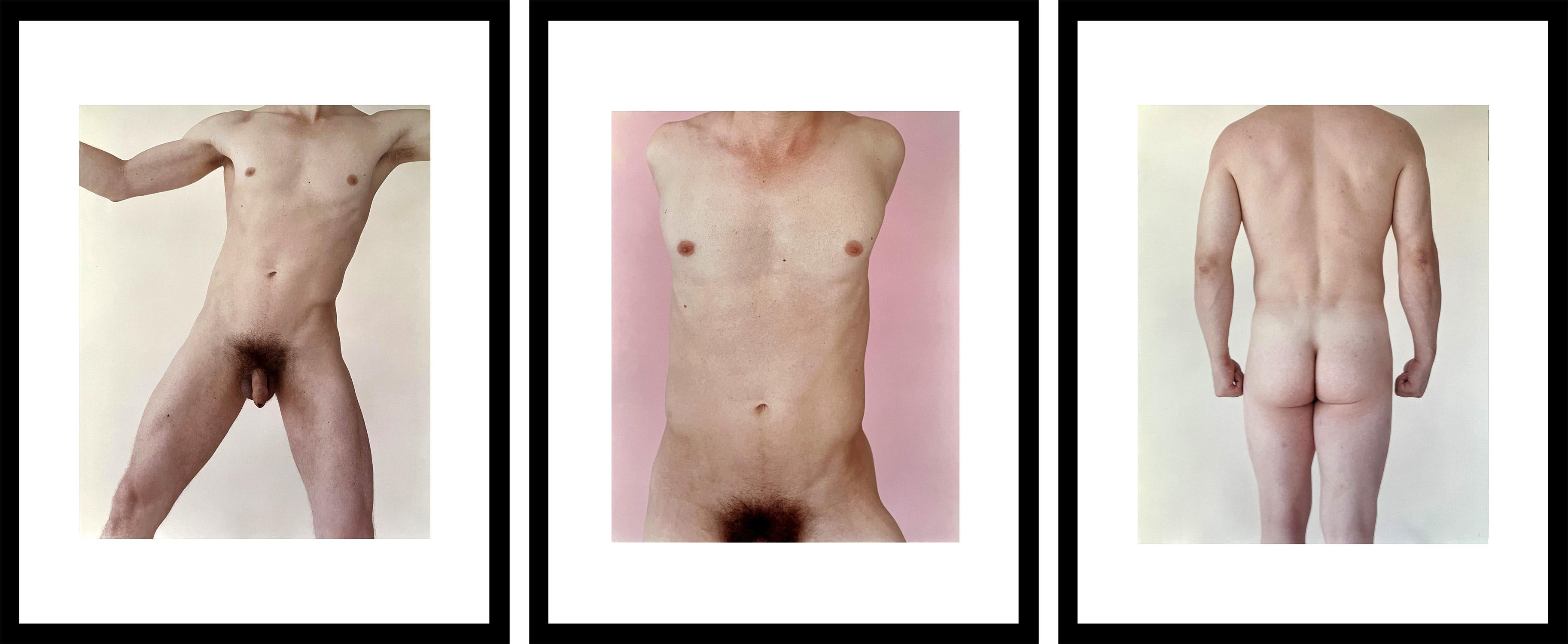 kouros pâle, rose torse, dos Kouros. Triptyque. Encadré