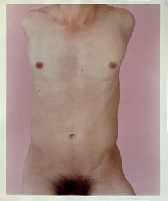 Kouros Torso Pink. Nude Photograph Limited Edition 