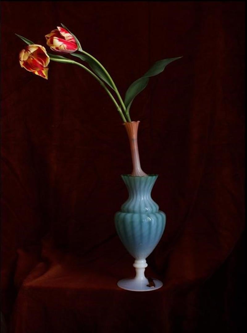 Opalina, Set of 9 photographs. Still life limited edition color Portfolio - Photograph by Michael James O’Brien