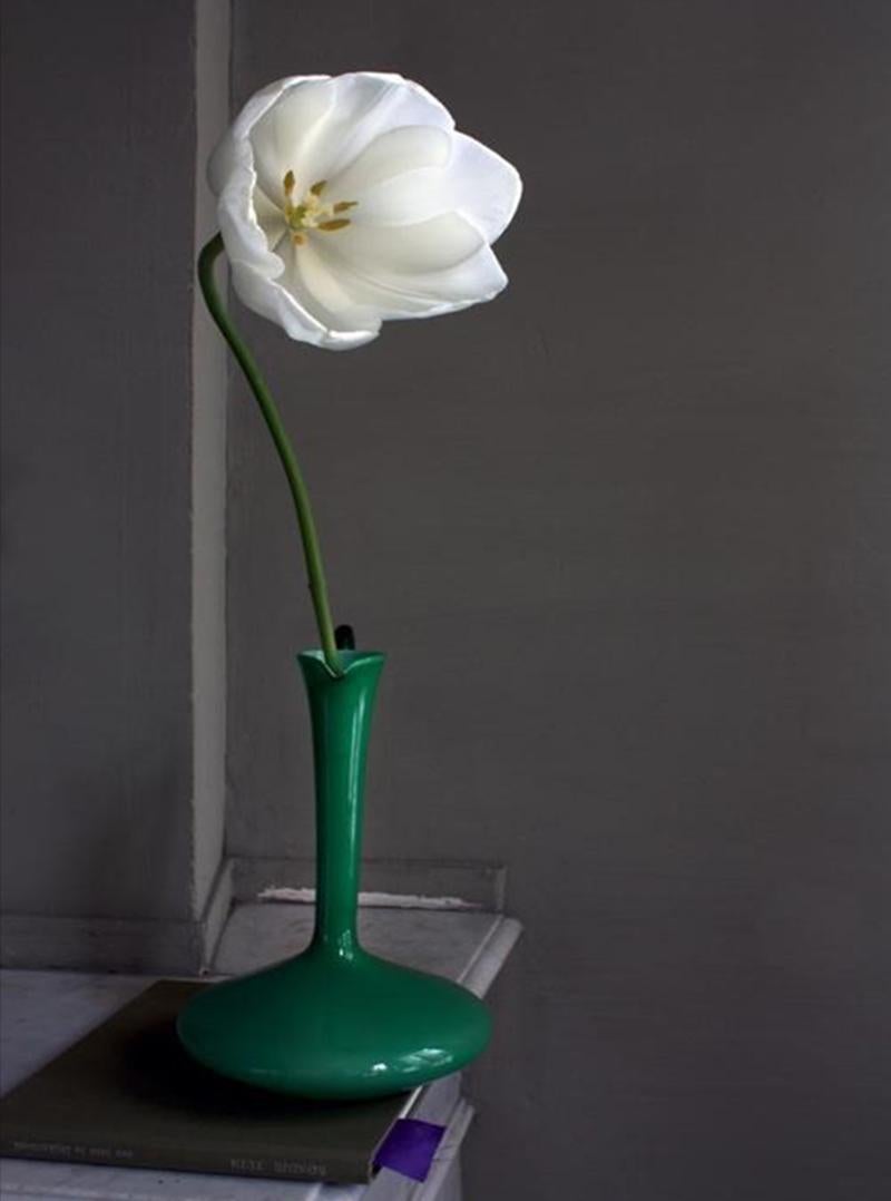 Opalina, ensemble de 9 photographies. Nature morte édition limitée Portfolio couleur - Noir Still-Life Photograph par Michael James O’Brien