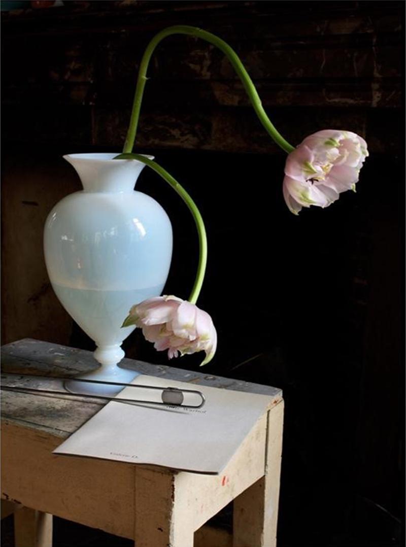 Opalina, Set of 9 photographs. Still life limited edition color Portfolio For Sale 3