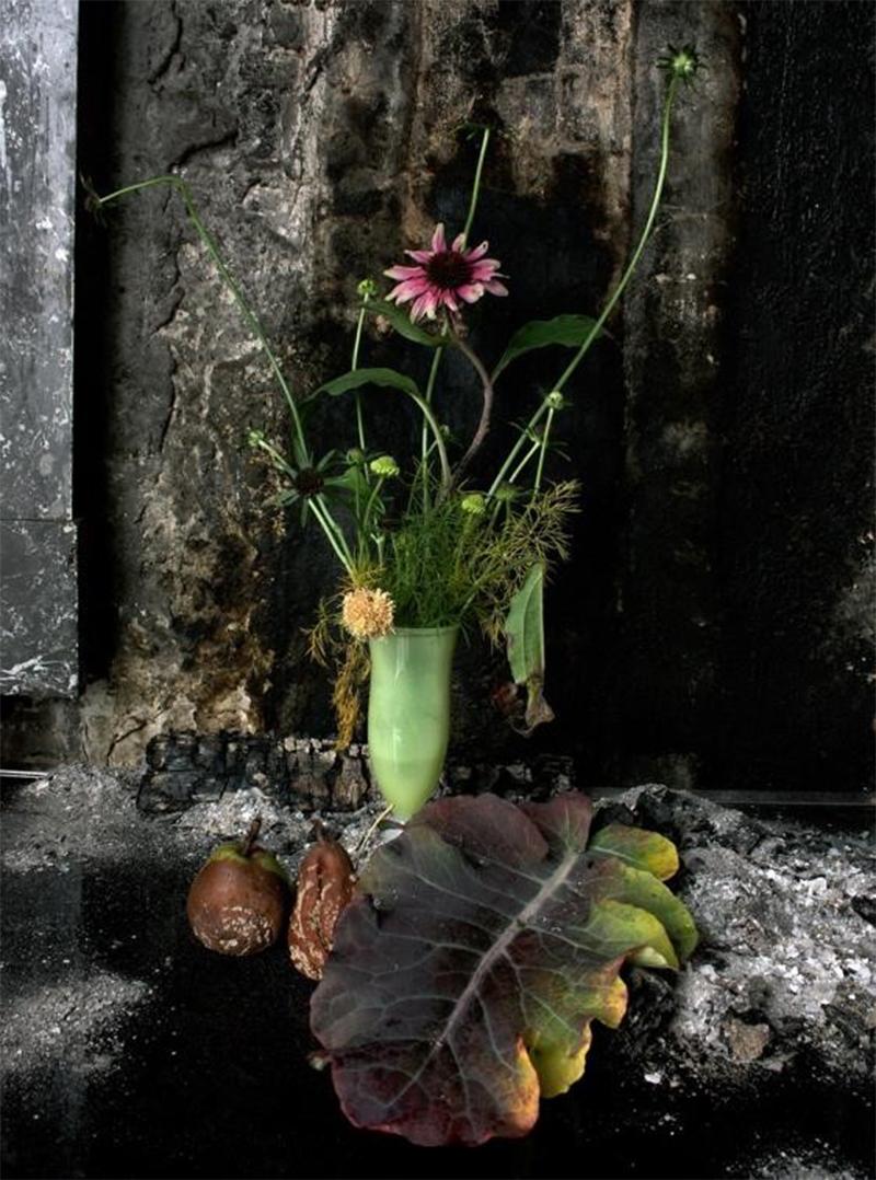 Opalina, ensemble de 9 photographies. Nature morte édition limitée Portfolio couleur en vente 4