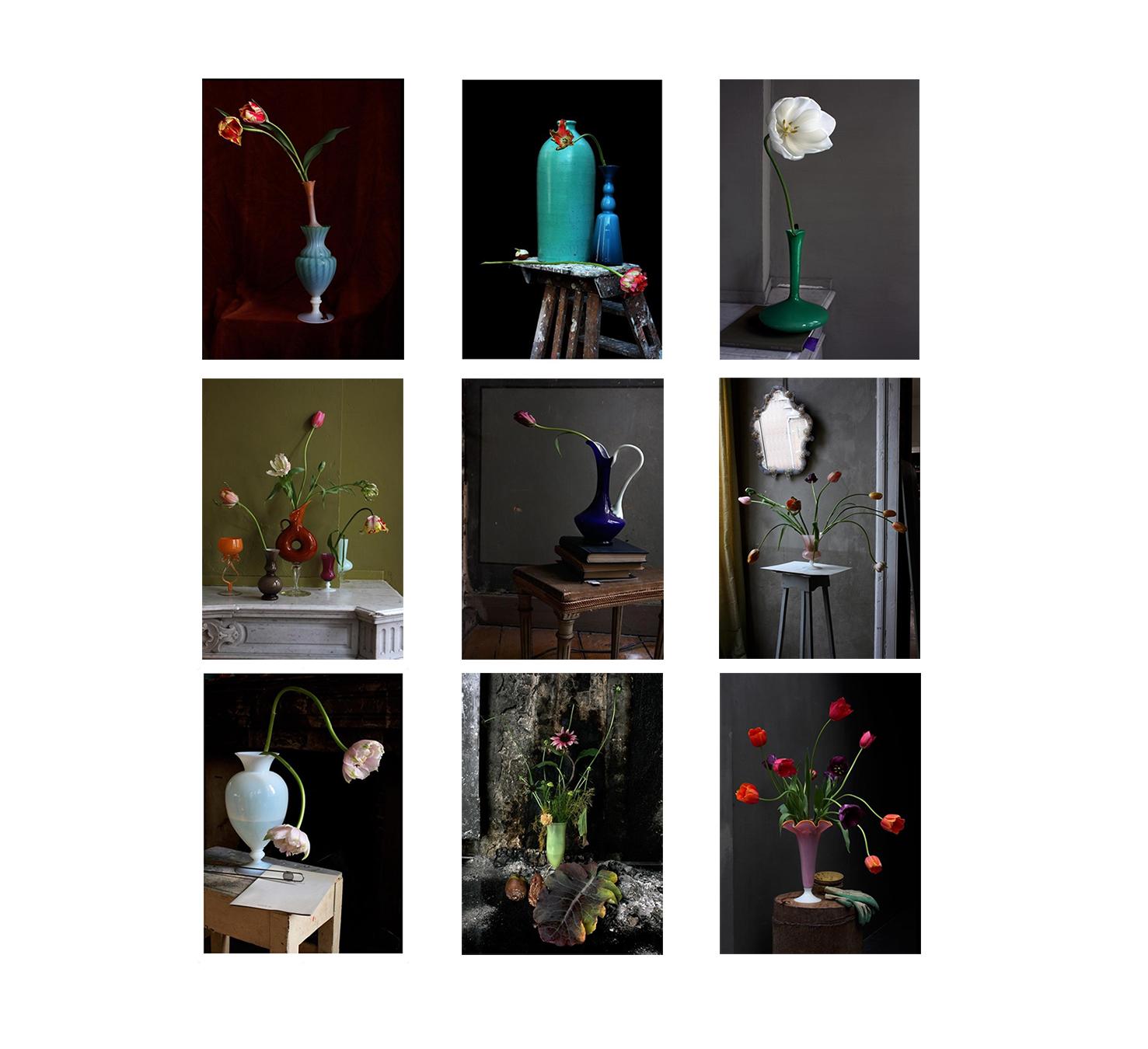 Still-Life Photograph Michael James O’Brien - Opalina, ensemble de 9 photographies. Nature morte édition limitée Portfolio couleur