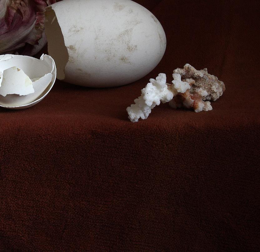 Still Life with a Broken Egg, Antwerp. Limited edition color photograph - Photograph by Michael James O’Brien