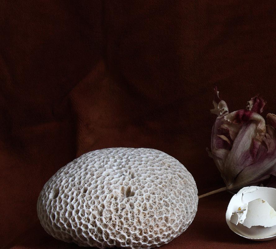 Still Life with a Broken Egg, Antwerp, 2013 by Michael James O’Brien
Printed on Hahnemuhle fine art photo rag paper
Image size: 60 in. H x 80 in. W 
Edition of 3 + 1AP
Unframed 

_________________

Michael James O’Brien is a photographer, teacher,