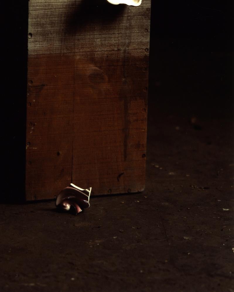 Still life with a Broken Vase, n.d. Limited edition color photograph - Photograph by Michael James O’Brien