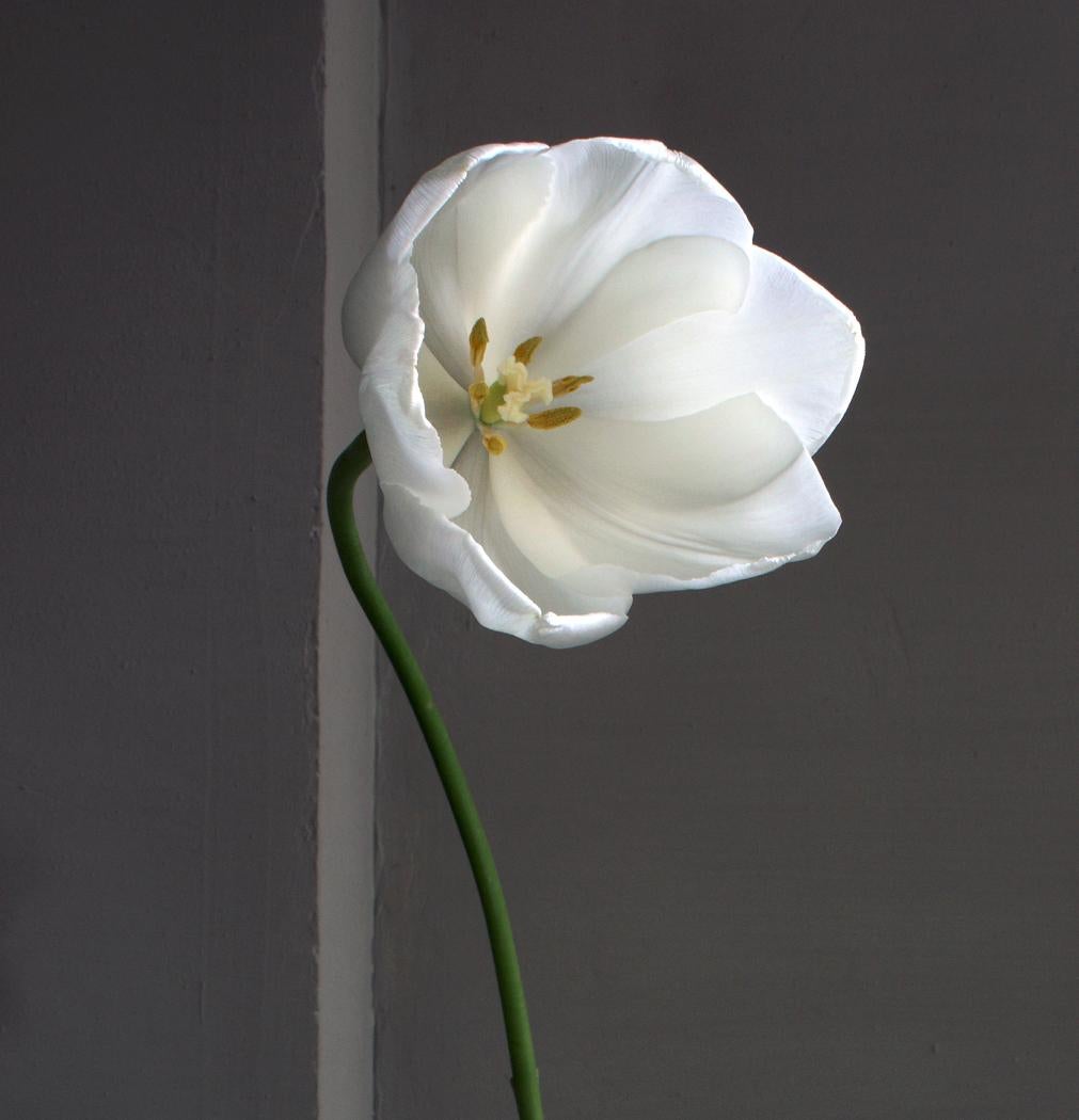 Still life with a White Tulip and a Green Opalina Vase, Antwerp.Color Photograph For Sale 1