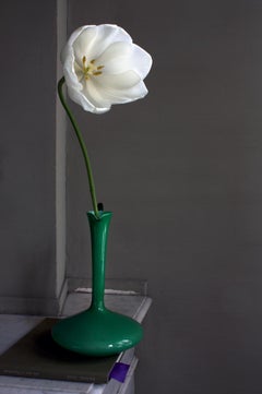 Stillleben mit einer weißen Tulpe und einer grünen Opalina-Vase, Antwerpen. Farbfotografie