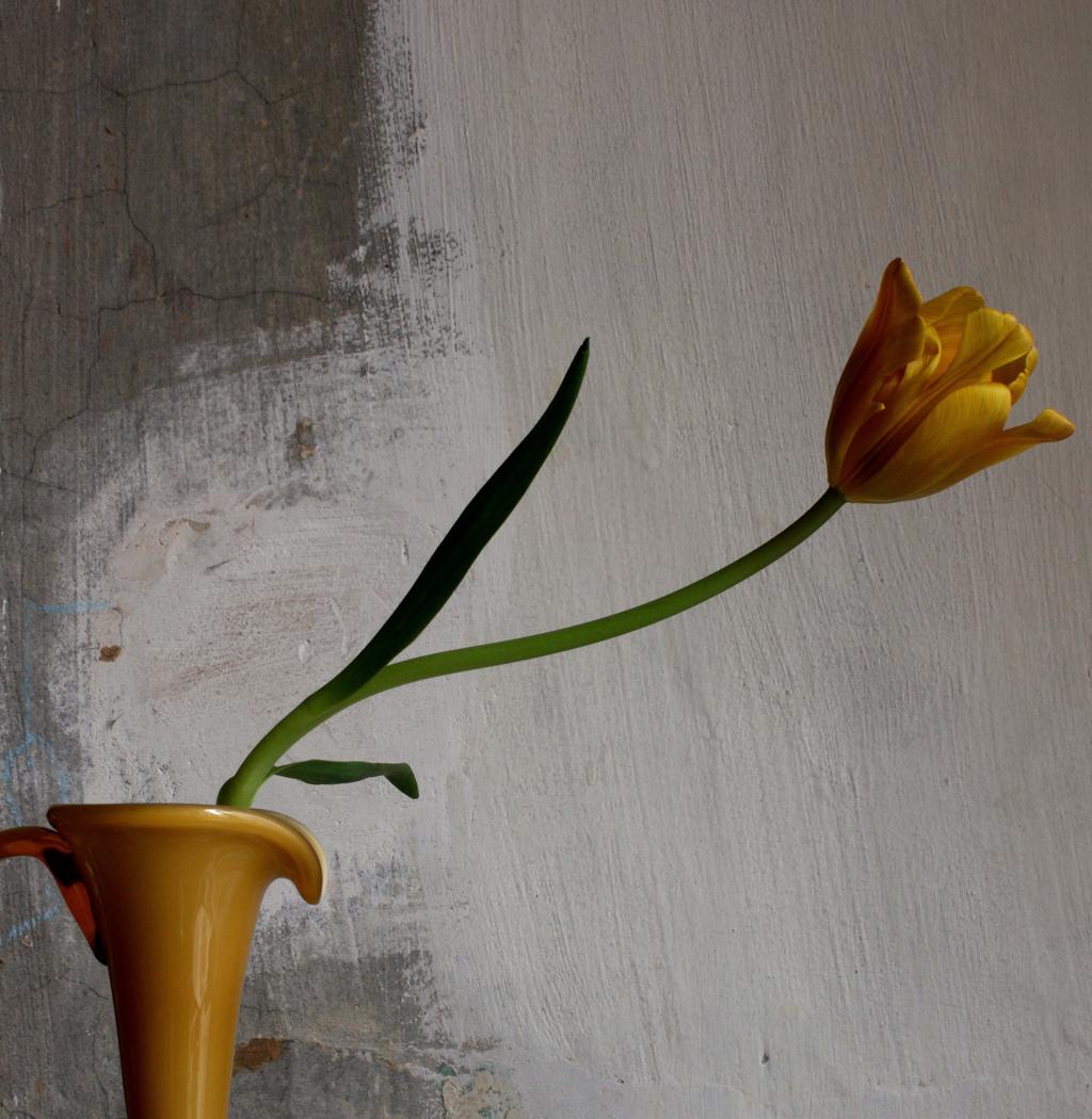 Still Life with a Yellow Tulip and a Yellow Opalina Vase, Antwerp. Photograph - Gray Still-Life Photograph by Michael James O’Brien