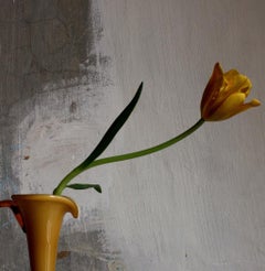 Still Life with a Yellow Tulip and a Yellow Opalina Vase, Antwerp. Photograph