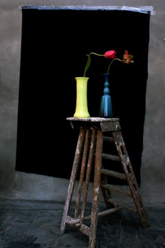 Nature morte avec des tulipes, une échelle et un vase en opalina jaune, Anvers, photo couleur