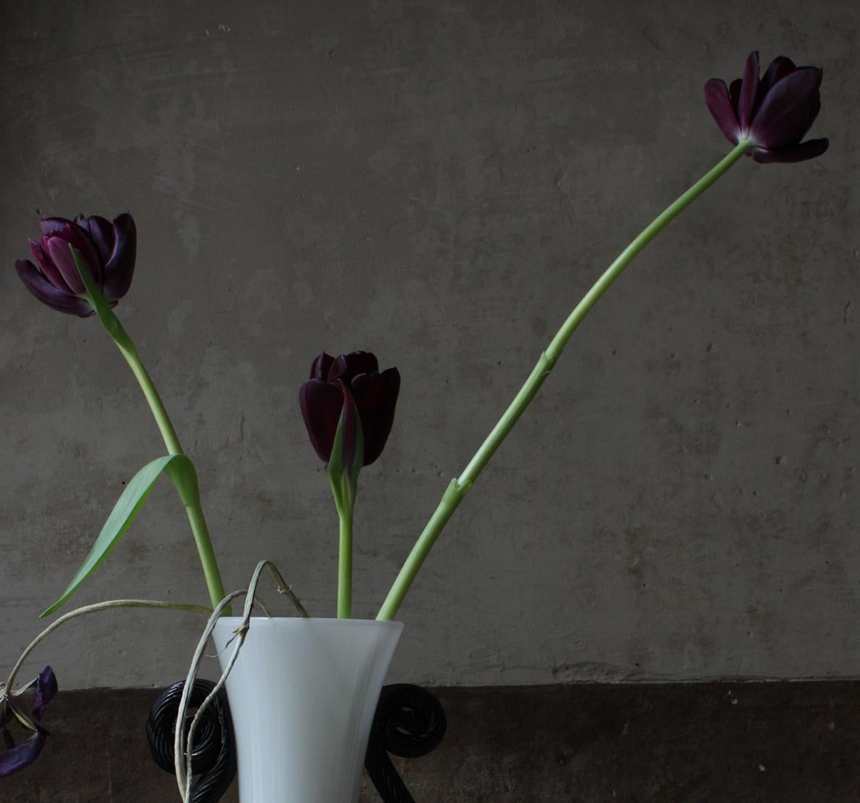 Still life with Tulips, and a Pale Blue  Opalina Vase, Antwerp. Color photograph - Photograph by Michael James O’Brien