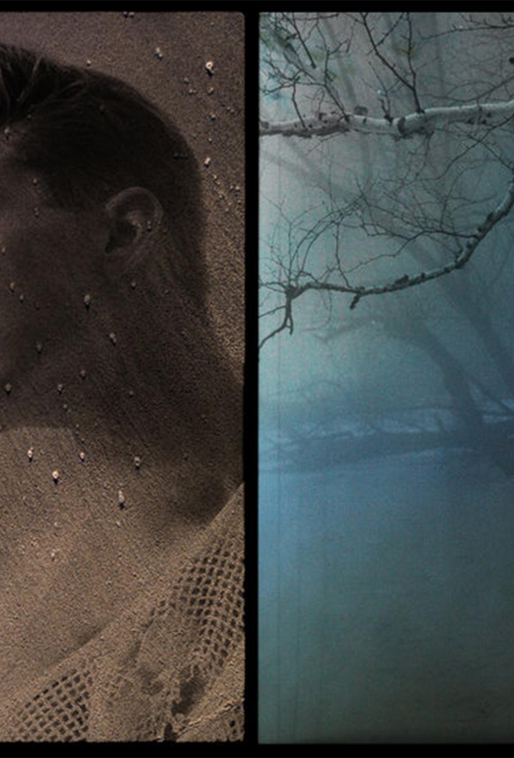 The Ides of March Diptych, n.d. Limited edition color photograph. - Contemporary Photograph by Michael James O’Brien
