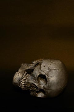 The Last Sea, Skull, Brandon, Diptych. Limited edition color photograph. Framed