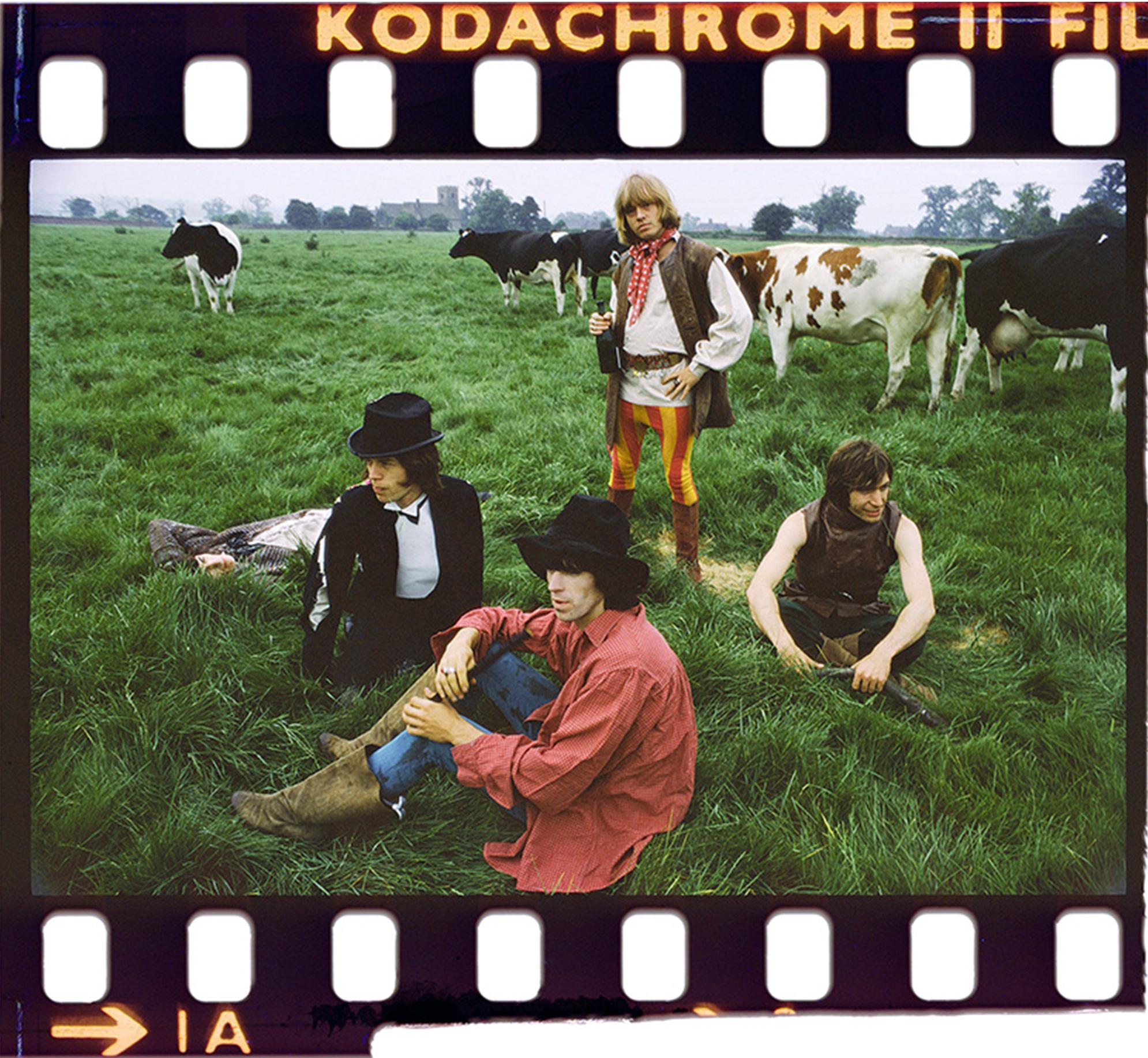 Michael Joseph Portrait Photograph – Die Rolling Stones „Stones and Cows“ London 1968