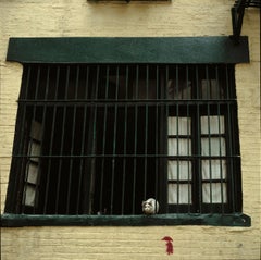 Amerikanisches zeitgenössisches Foto von Michael Yamaoka – Katze in einem Soho-Fenster