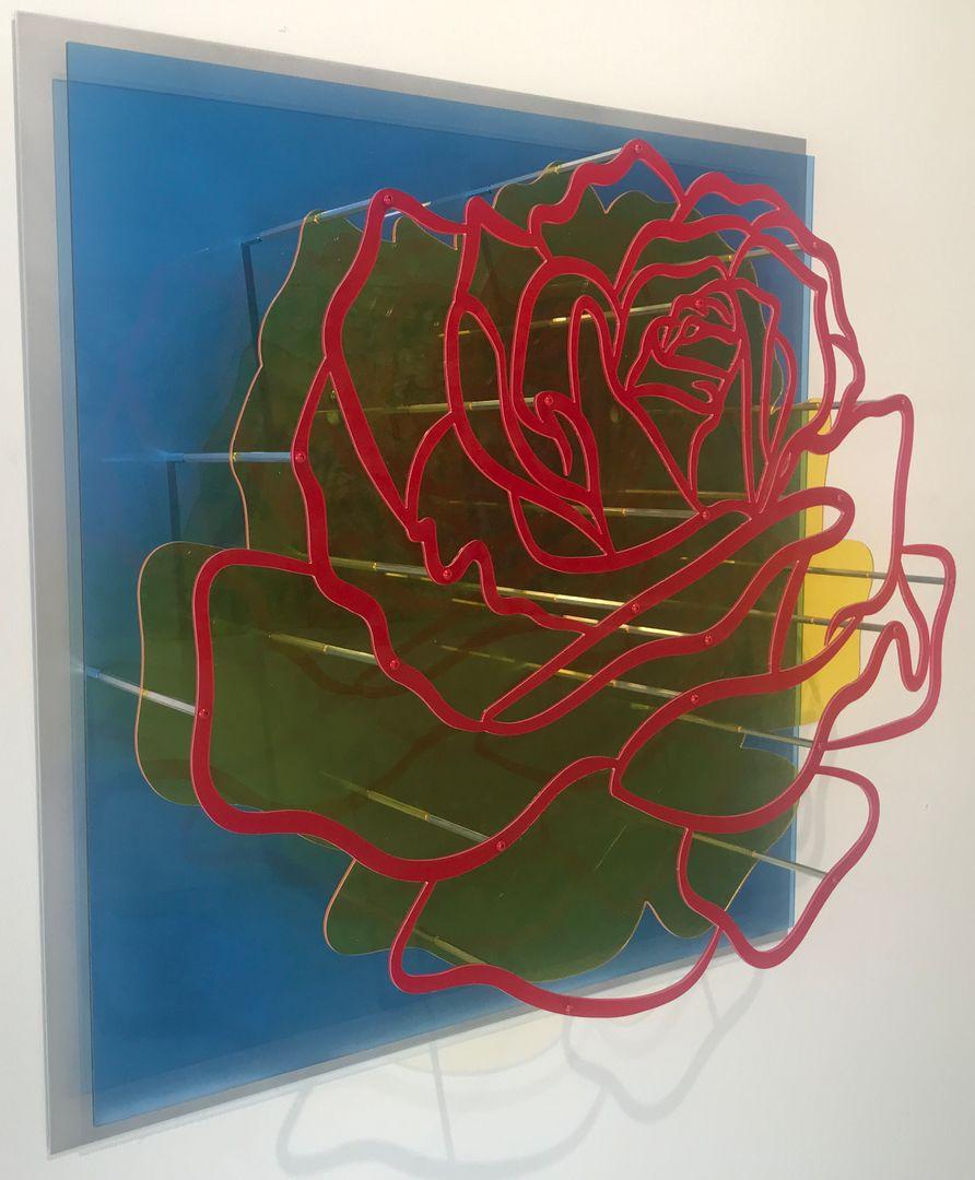 Rose, Rot auf Blau