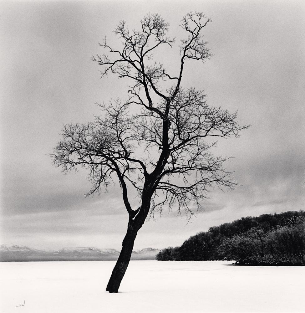 Michael Kenna Landscape Photograph - Amemasu Tree, Hokkaido, Japan