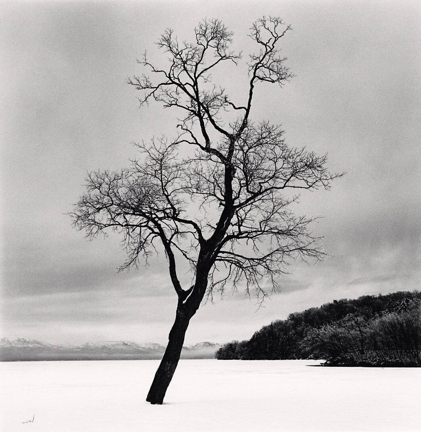 Michael Kenna Black and White Photograph - Amemasu Tree, Hokkaido, Japan
