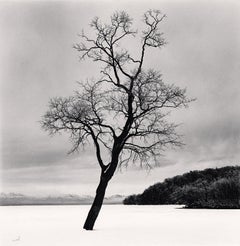 Black and White Photography