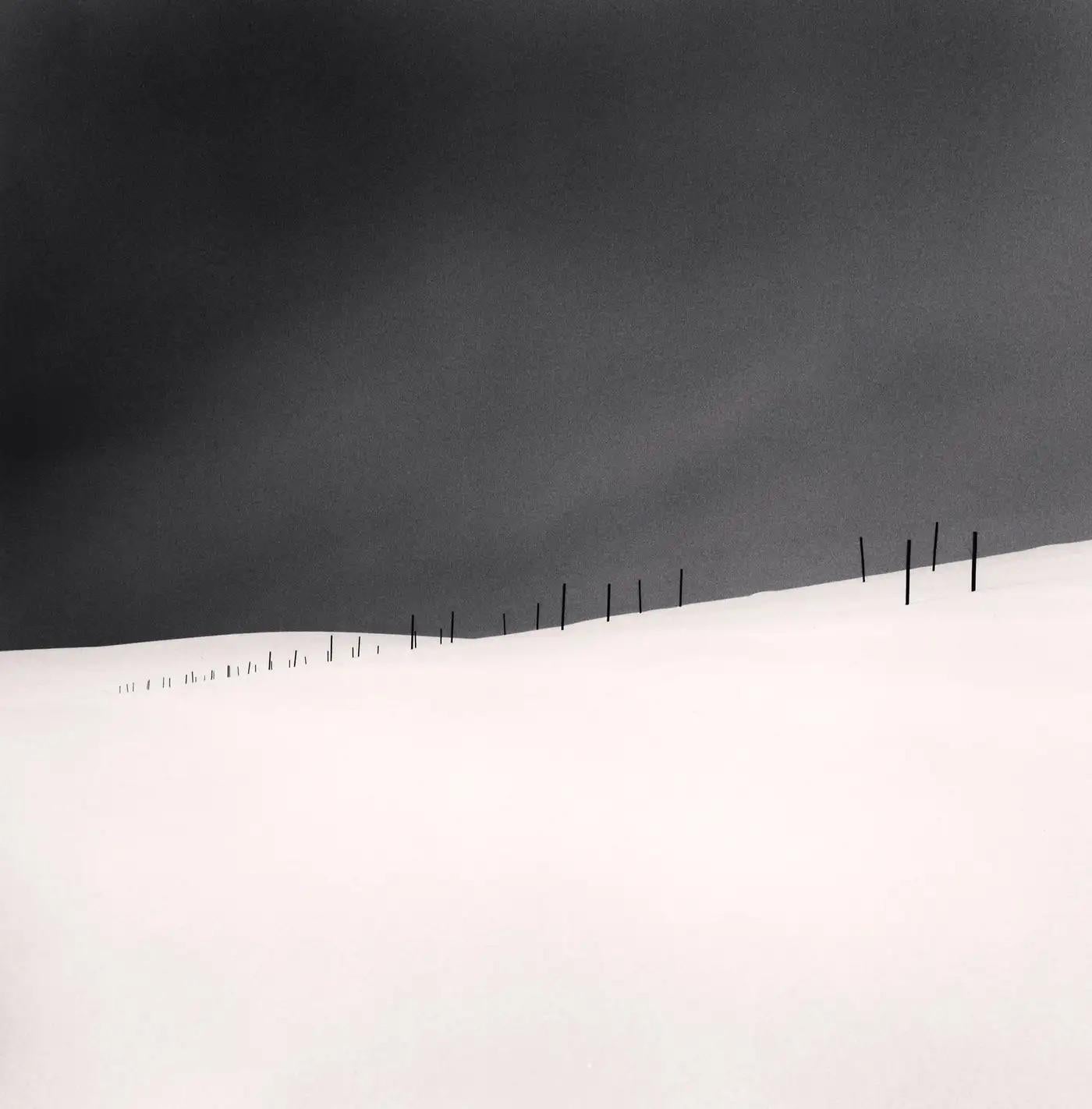 Michael Kenna Black and White Photograph – Spargelstangen, Studie 2, Biei, Hokkaido