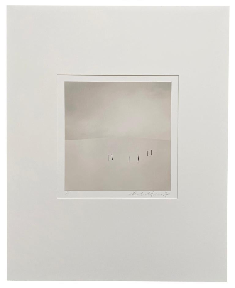 Asparagus Sticks, Study 3, Biei, Hokkaido, Japan - Photograph by Michael Kenna