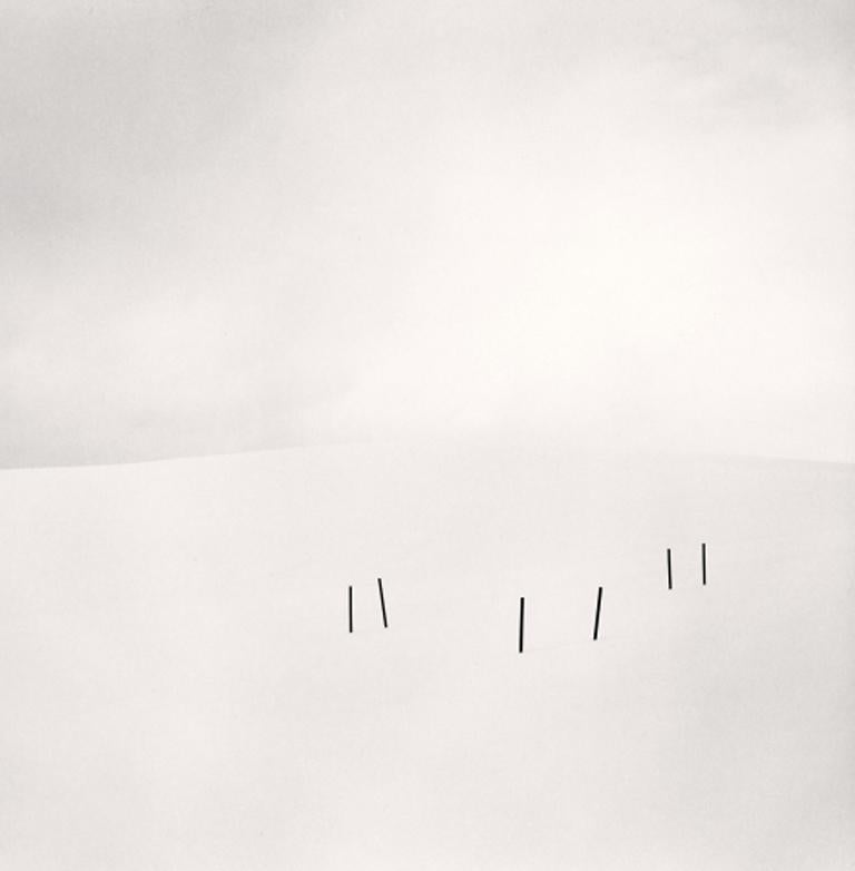 Michael Kenna Black and White Photograph - Asparagus Sticks, Study 3, Biei, Hokkaido, Japan