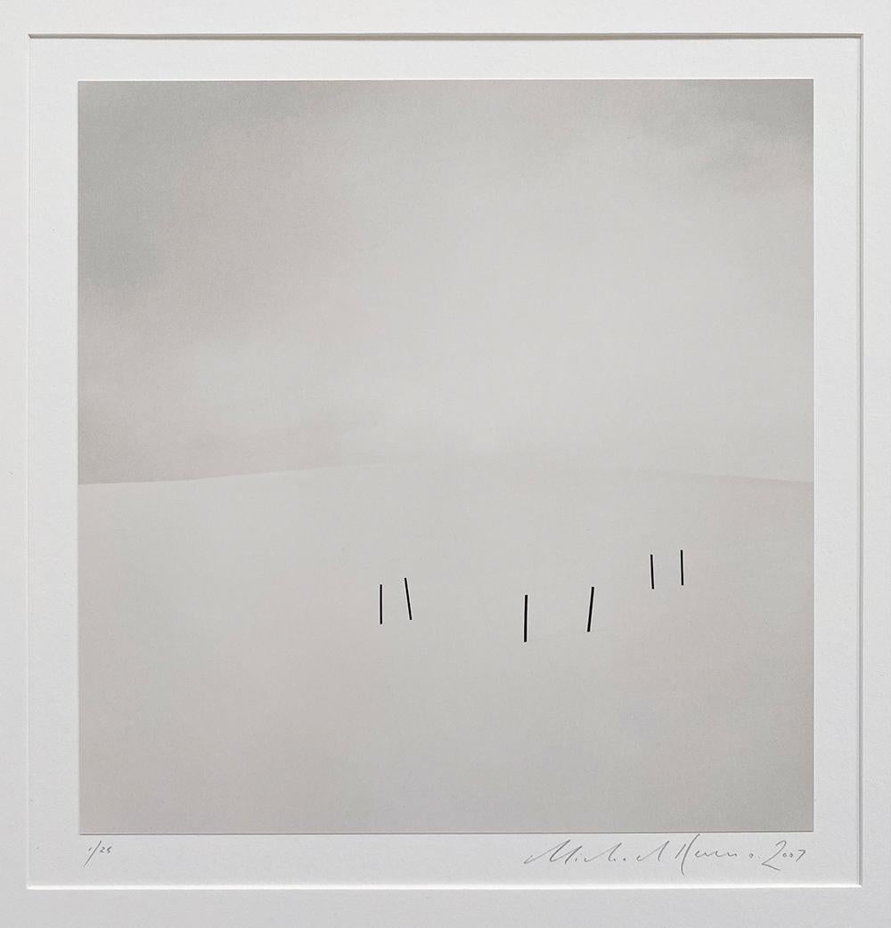 Bastoncini di asparagi, Studio 3, Biei, Hokkaido, Giappone - Photograph Contemporaneo di Michael Kenna