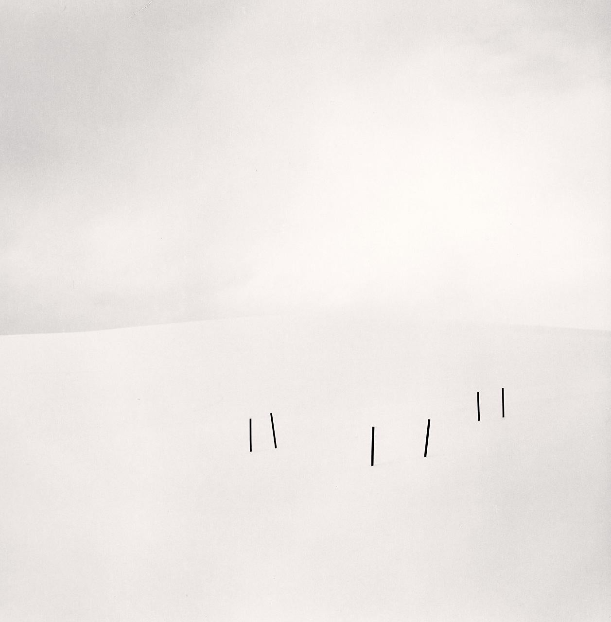Michael Kenna Black and White Photograph - Asparagus Sticks, Study 3, Hokkaido, Japan 